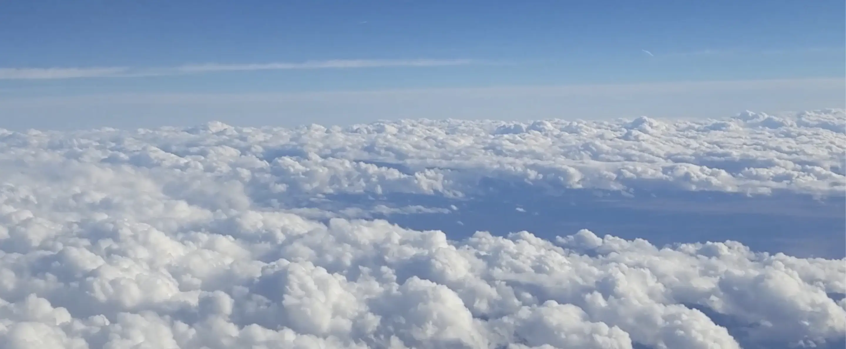 Picture of the share